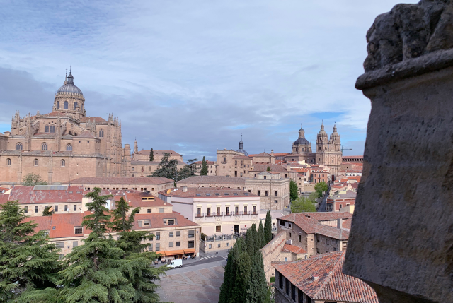 Actualidad Diocesana