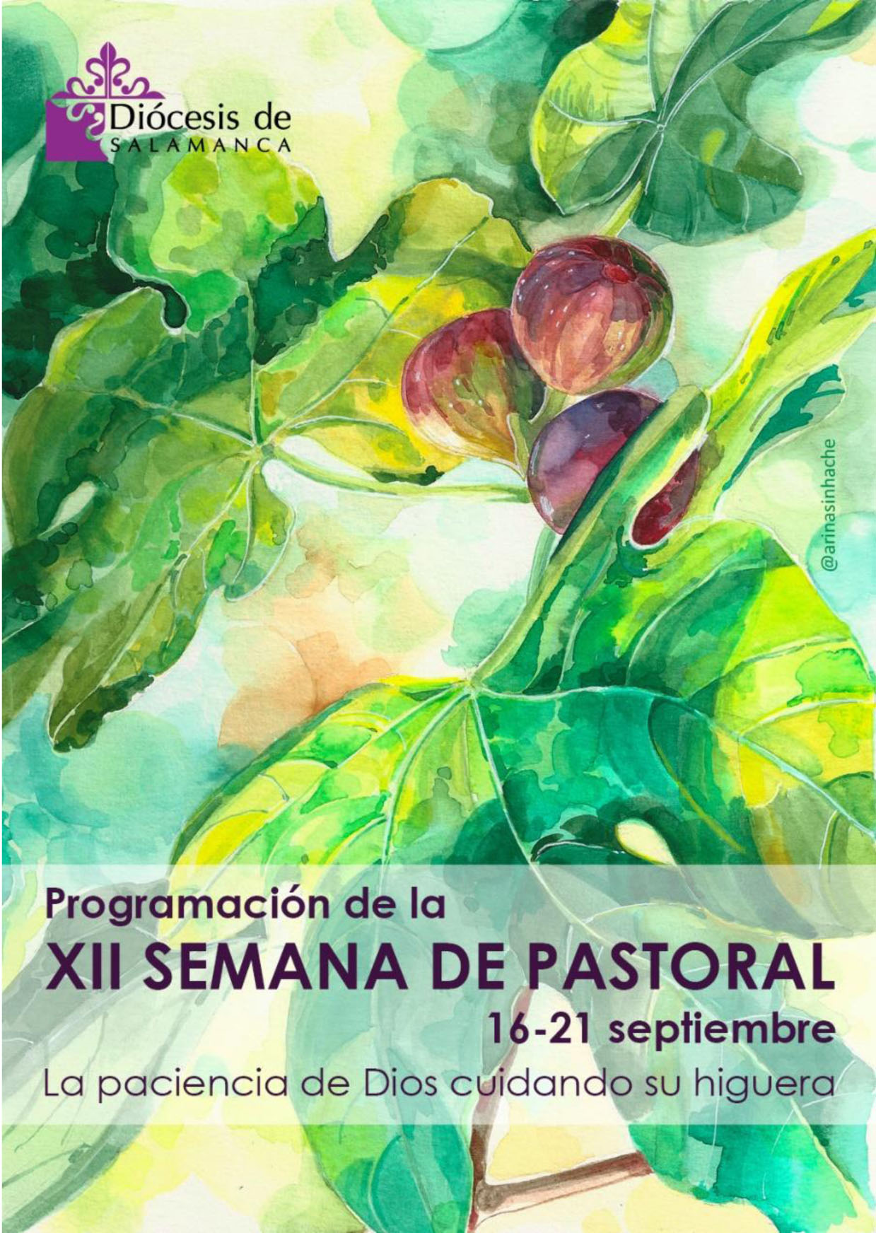 Actualidad Diocesana