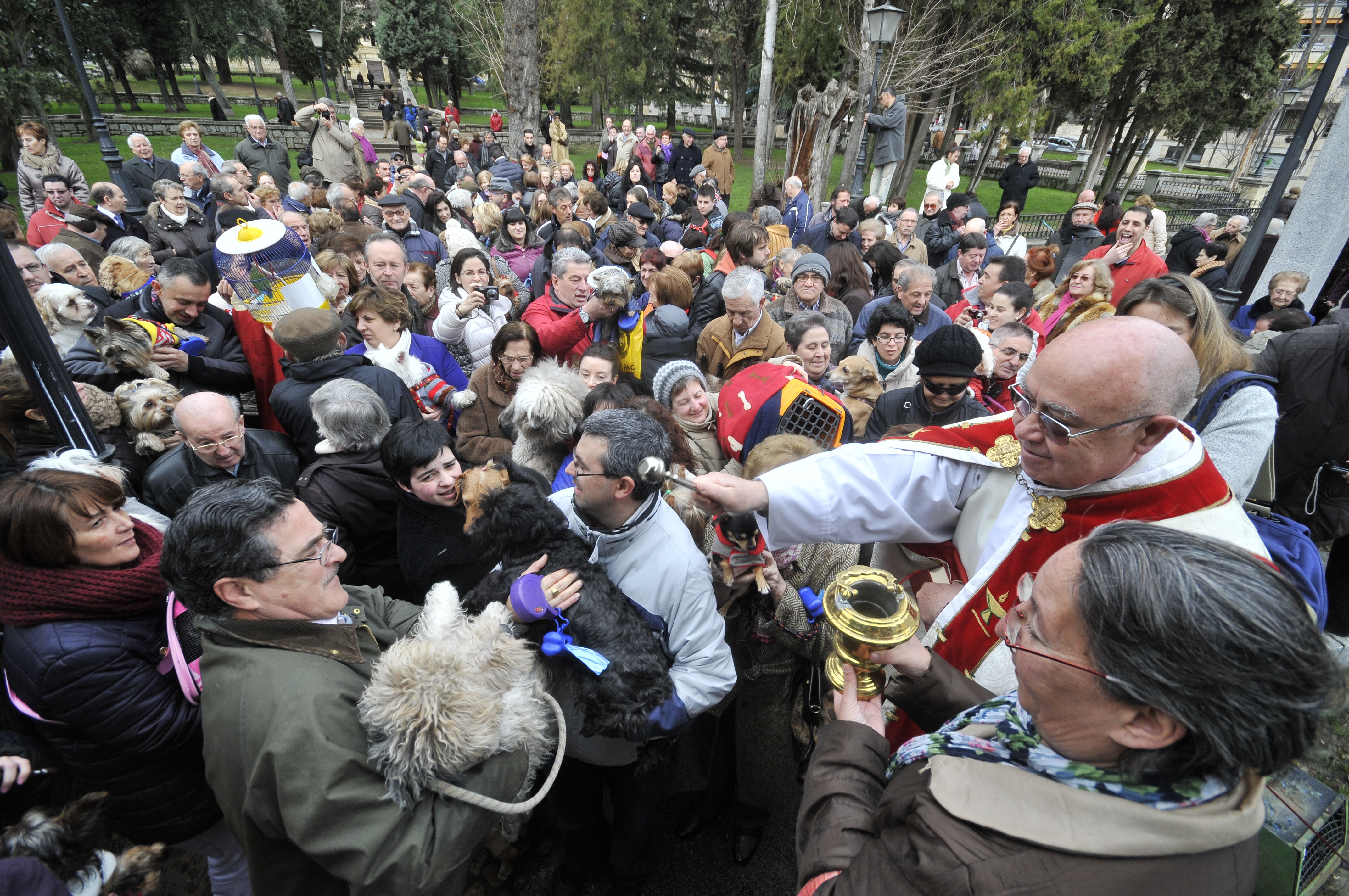 Actualidad Diocesana