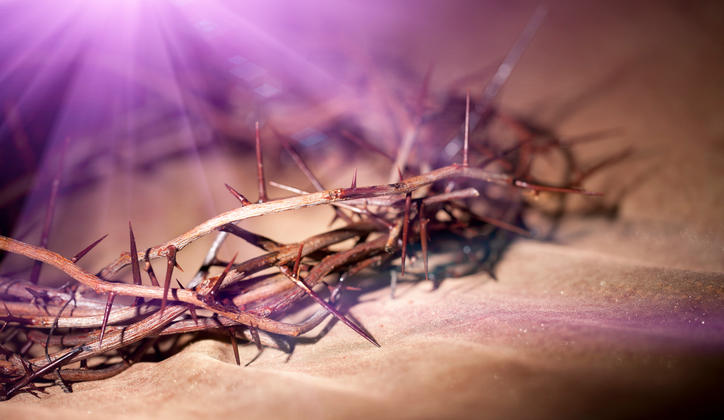 Actualidad Diocesana