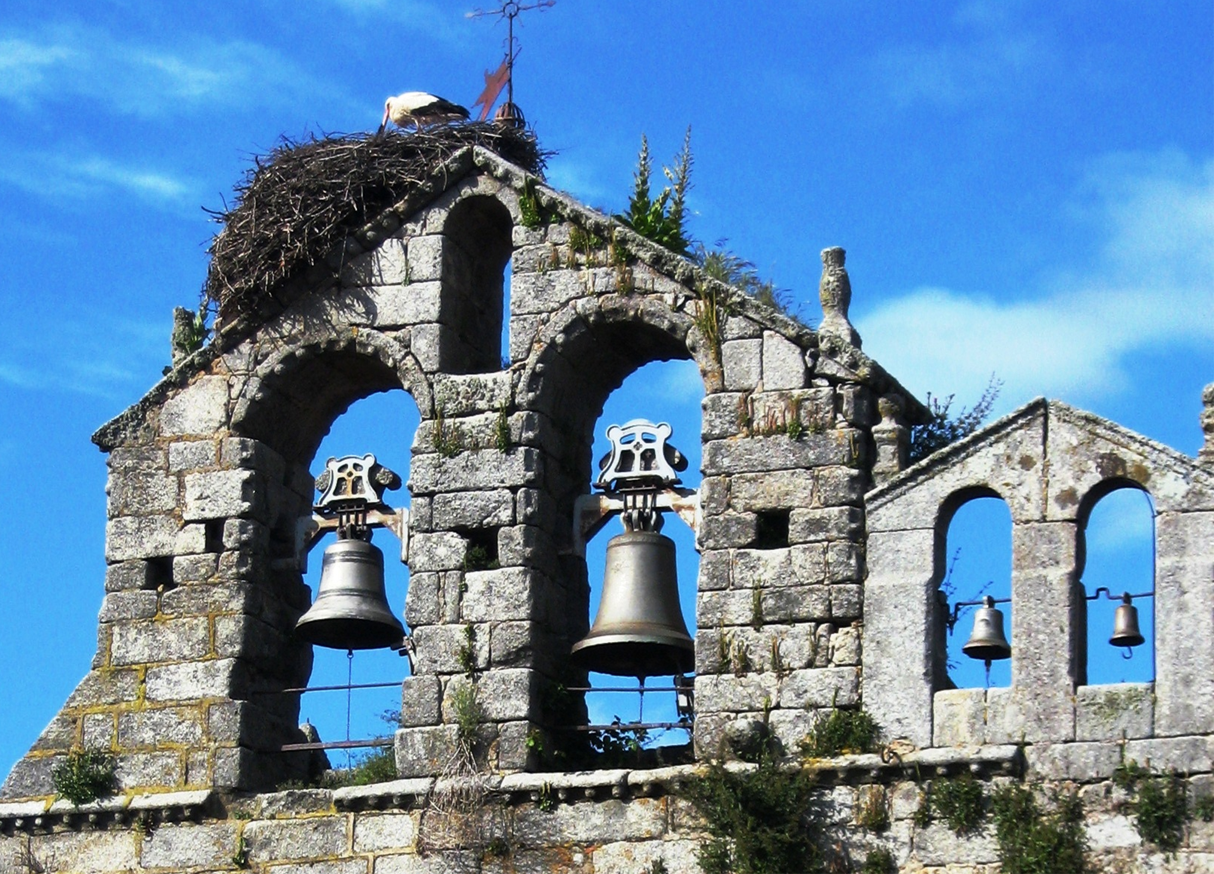 Actualidad Diocesana