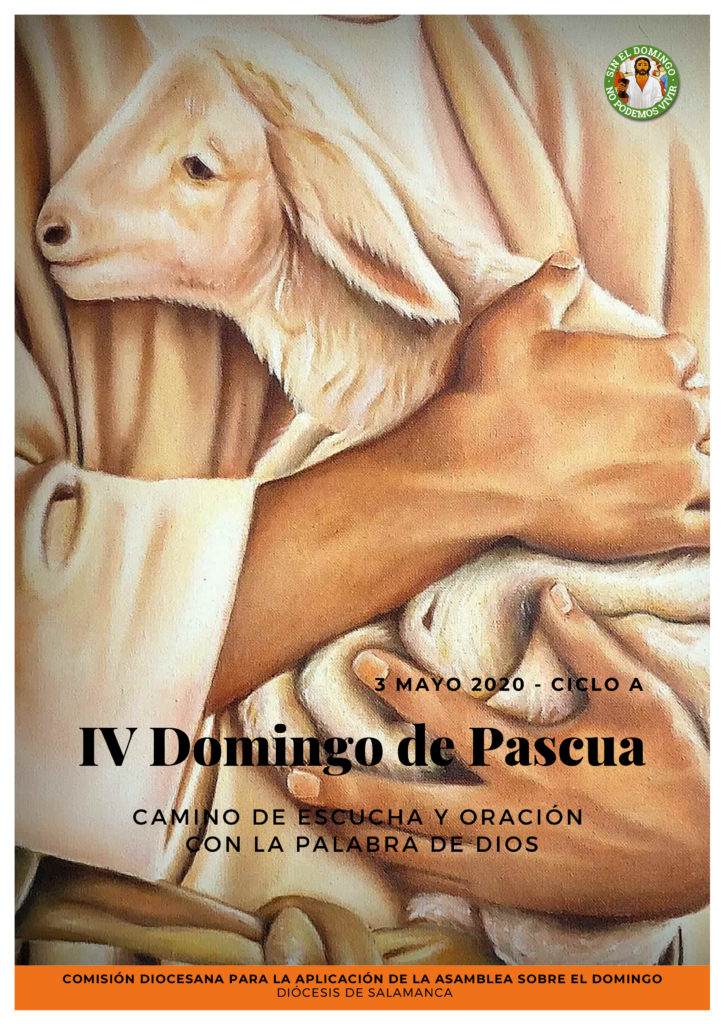 Lectio divina para el Domingo del Buen Pastor, IV de Pascua Diócesis