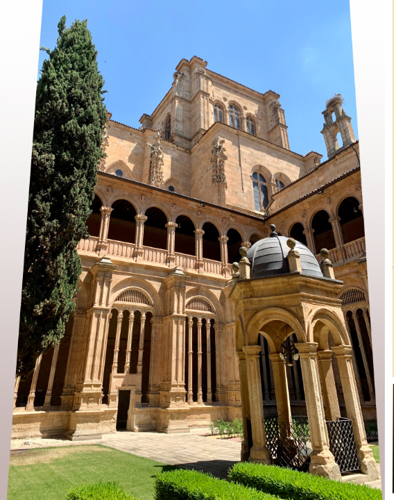 Actualidad Diocesana