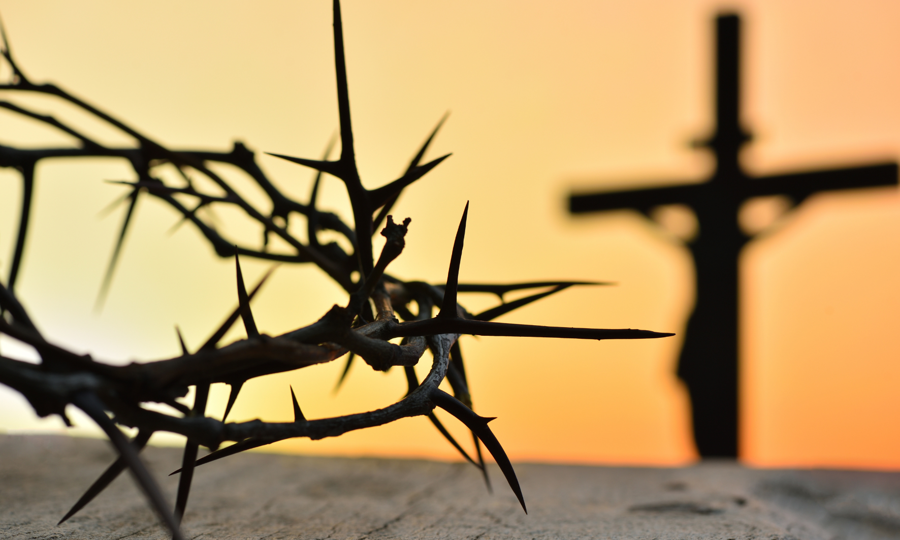 Actualidad Diocesana