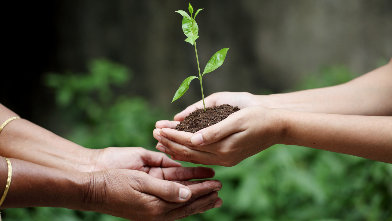 Actualidad Diocesana