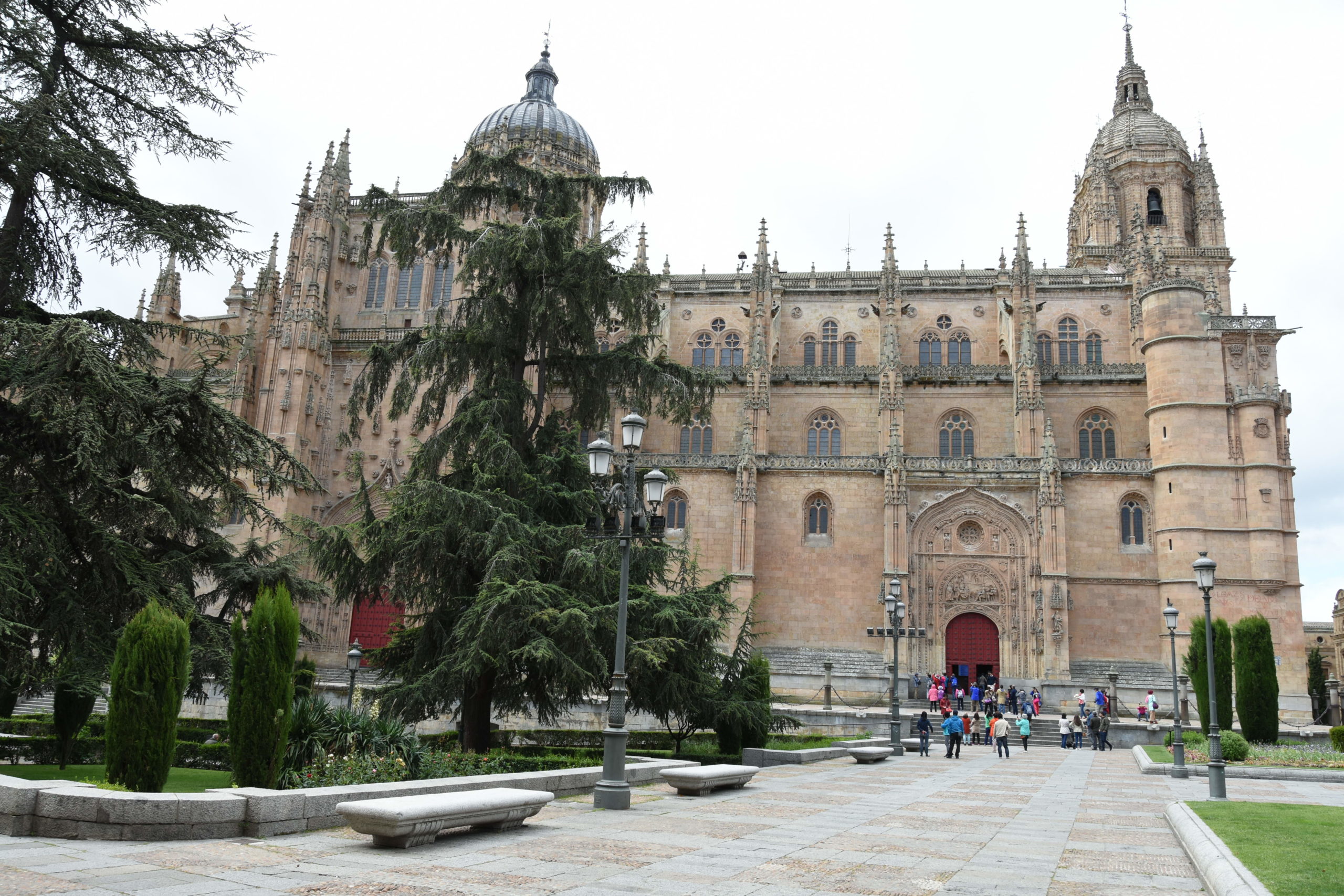 Actualidad Diocesana