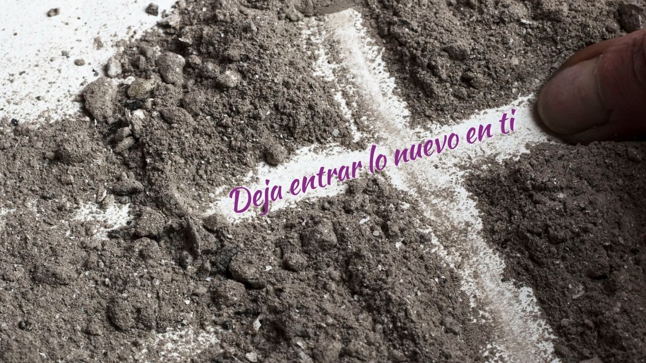 Actualidad Diocesana