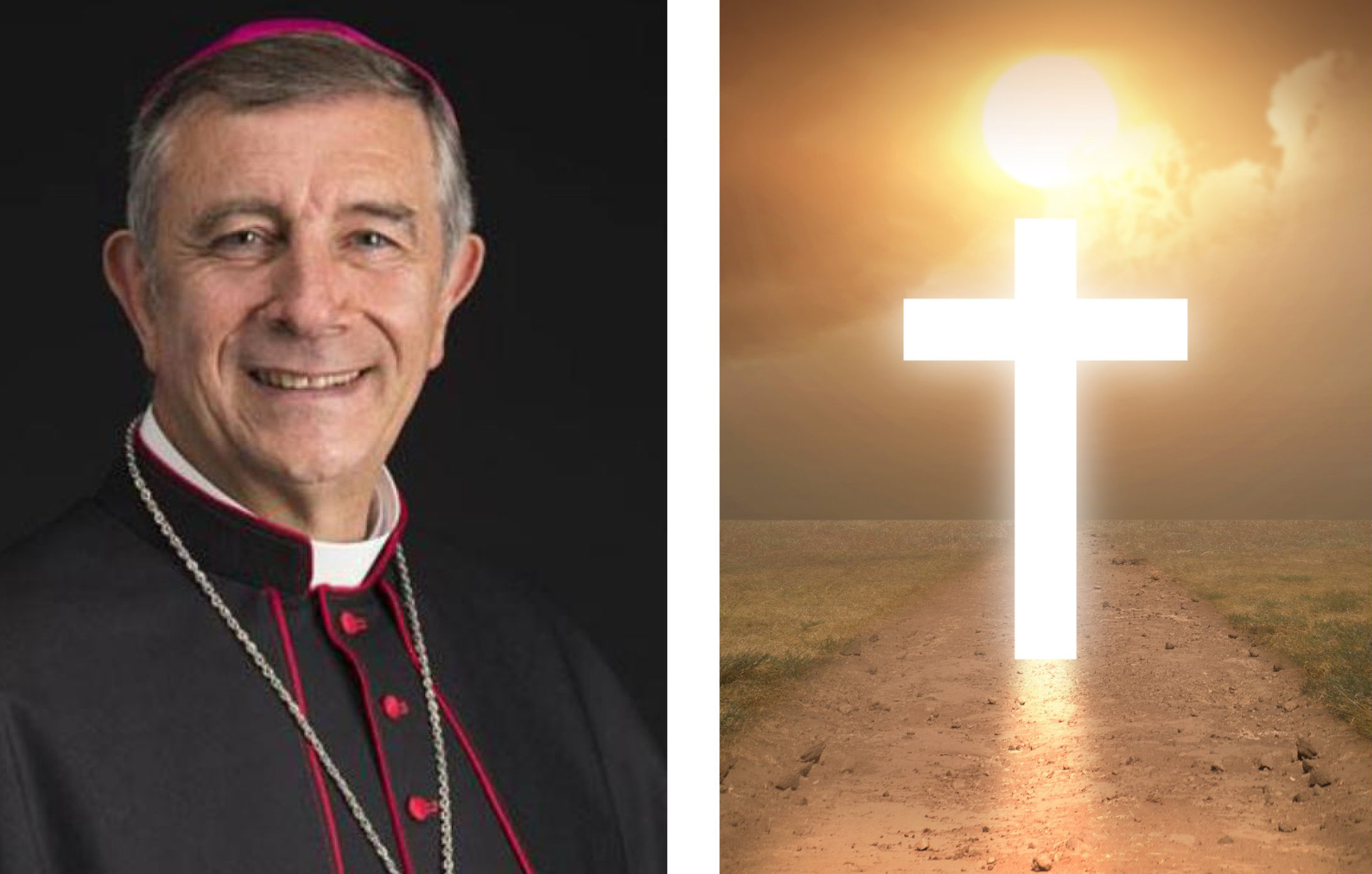 Actualidad Diocesana