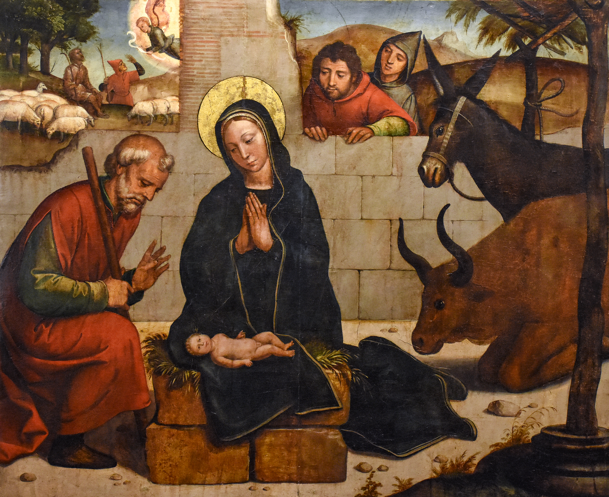 Actualidad Diocesana