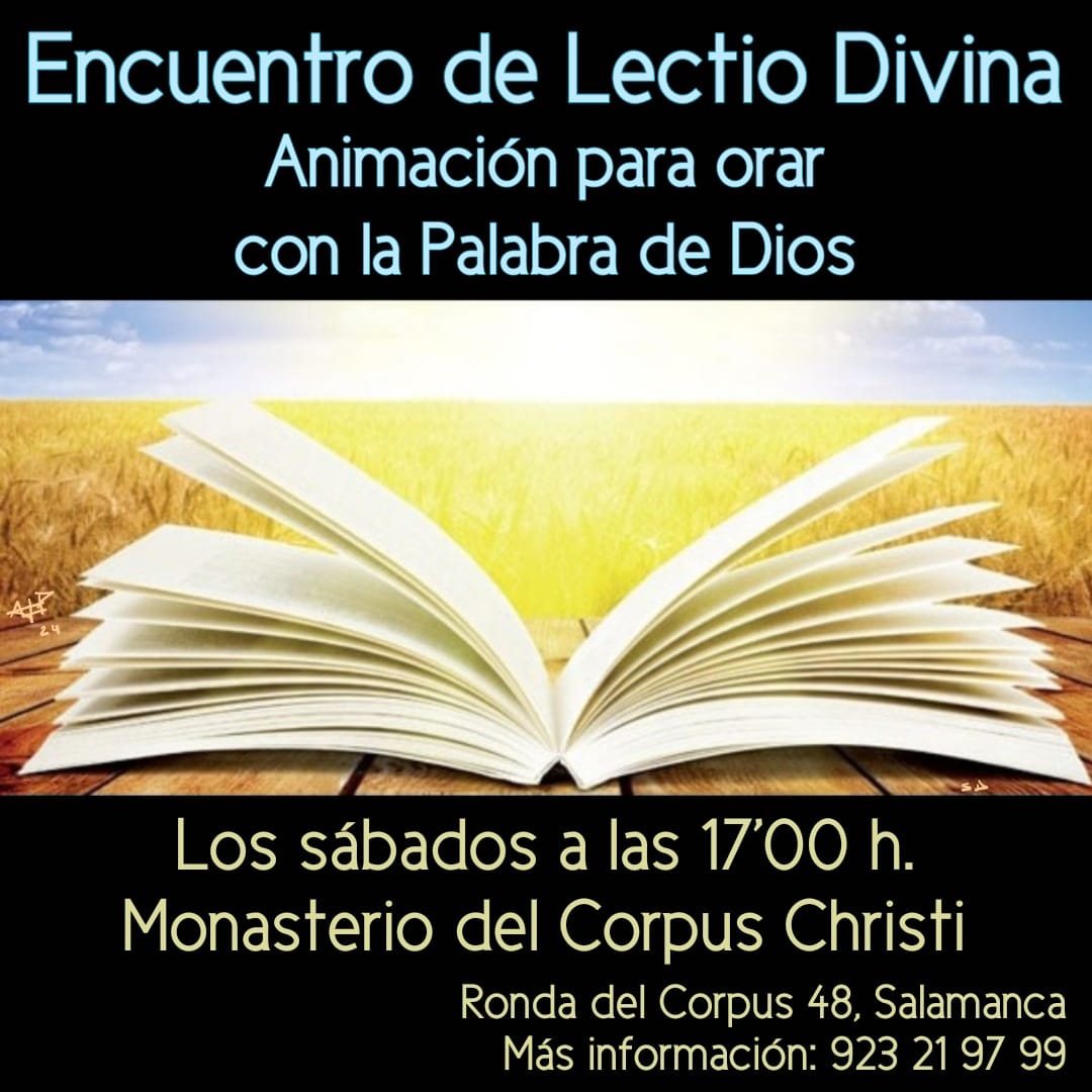 Actualidad Diocesana