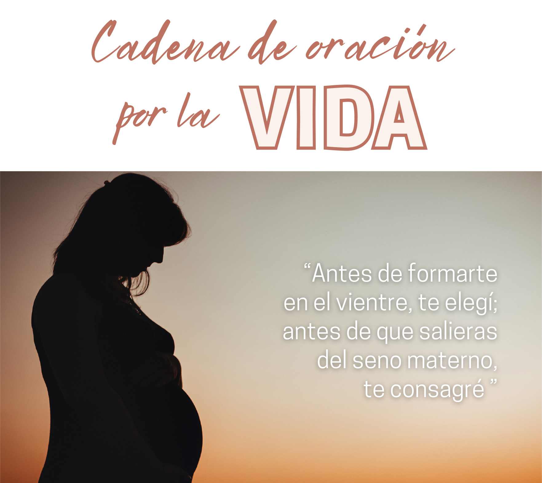 Actualidad Diocesana