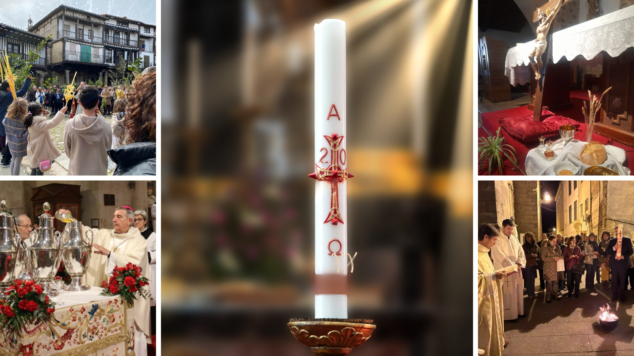 Actualidad Diocesana