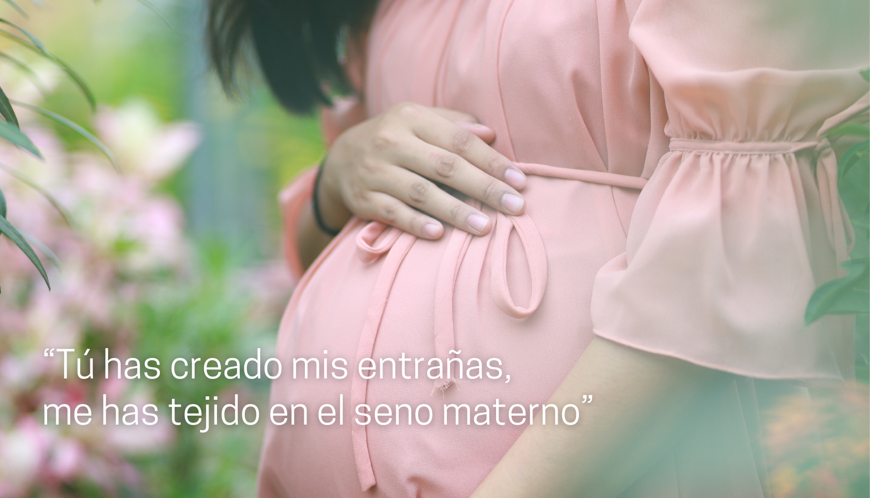 Actualidad Diocesana