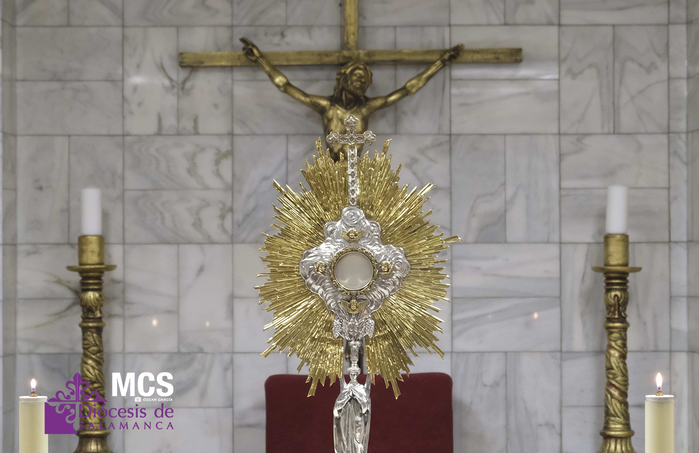 Actualidad Diocesana