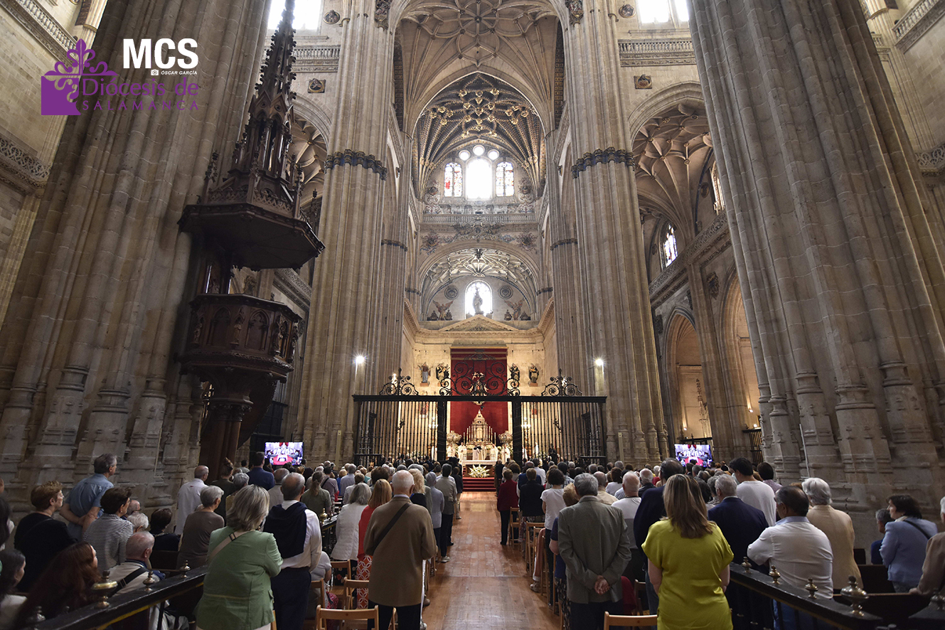 Actualidad Diocesana