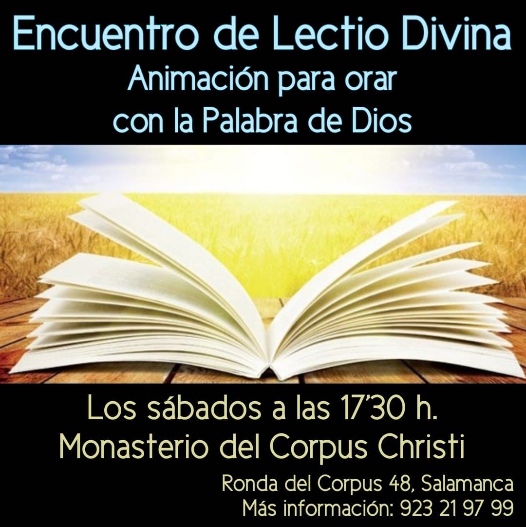 Actualidad Diocesana