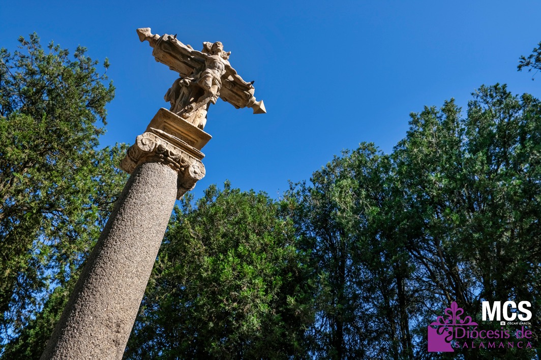 Actualidad Diocesana