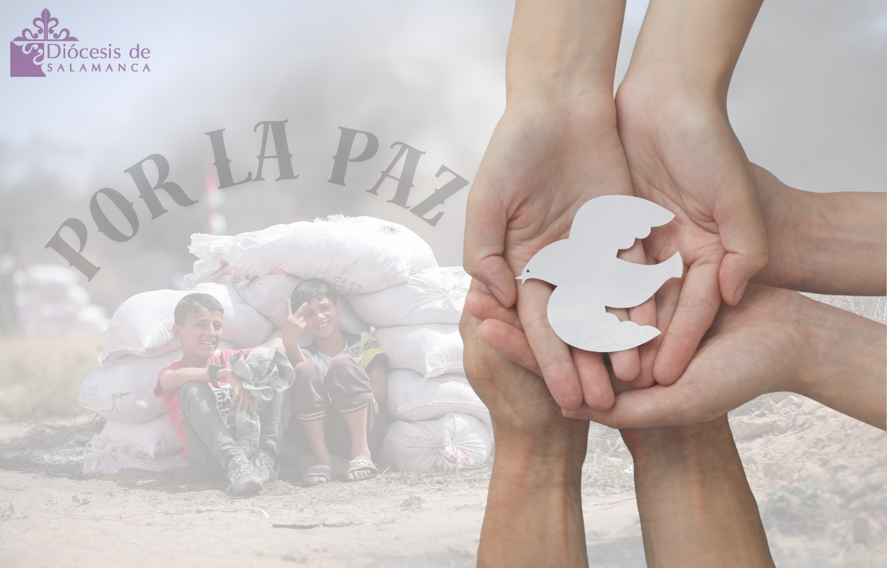 Actualidad Diocesana