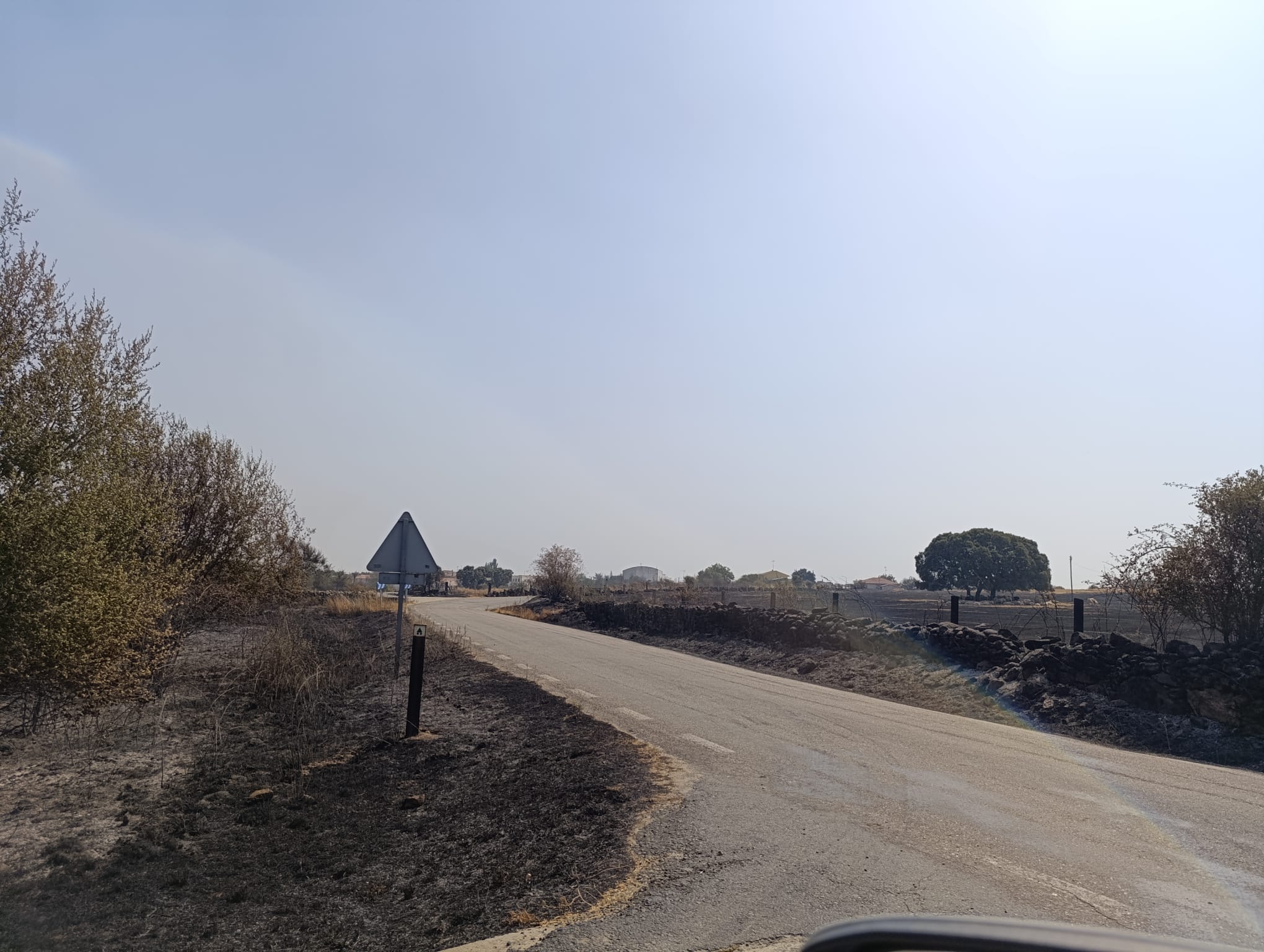 Actualidad Diocesana