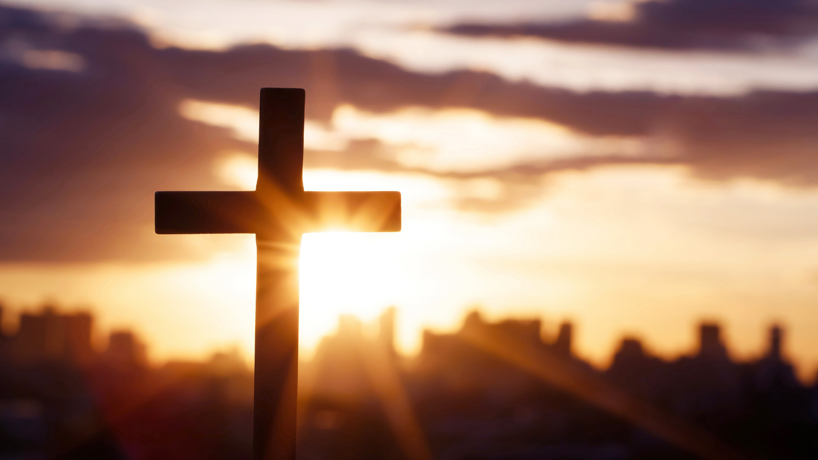 Actualidad Diocesana