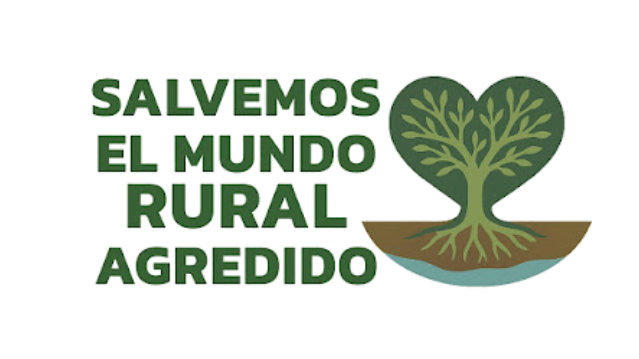 Actualidad Diocesana