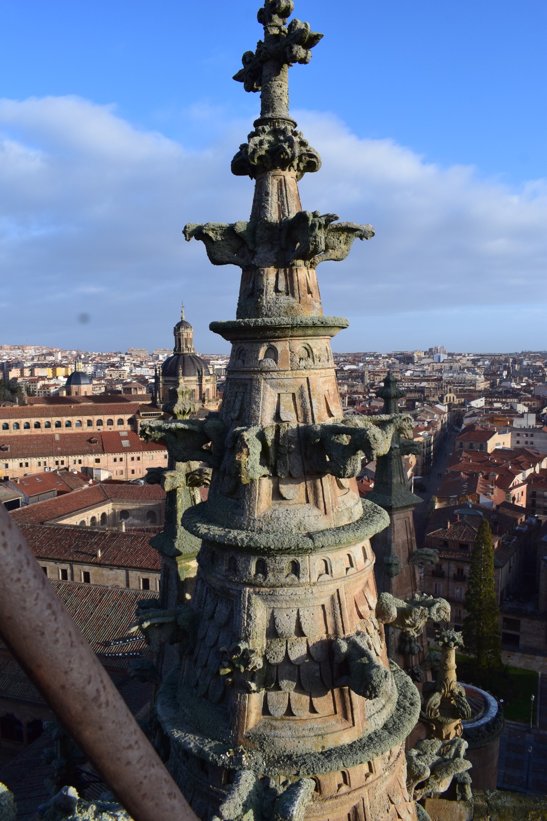 Actualidad Diocesana