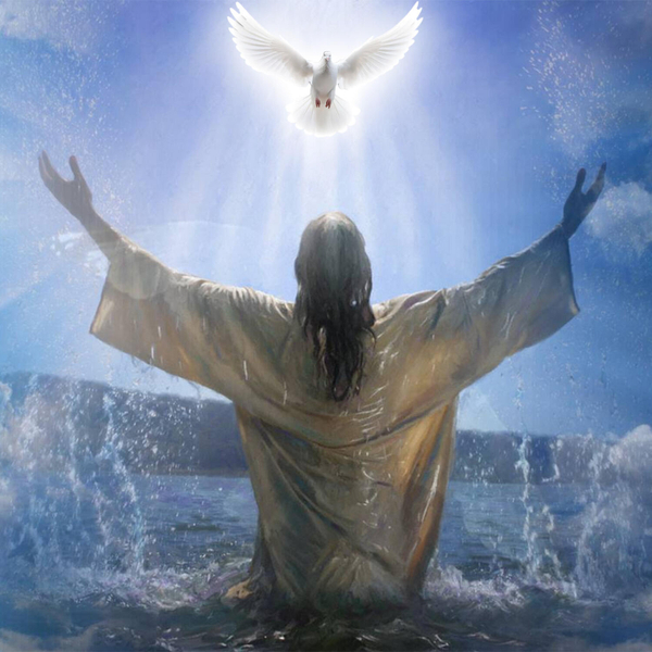 Actualidad Diocesana