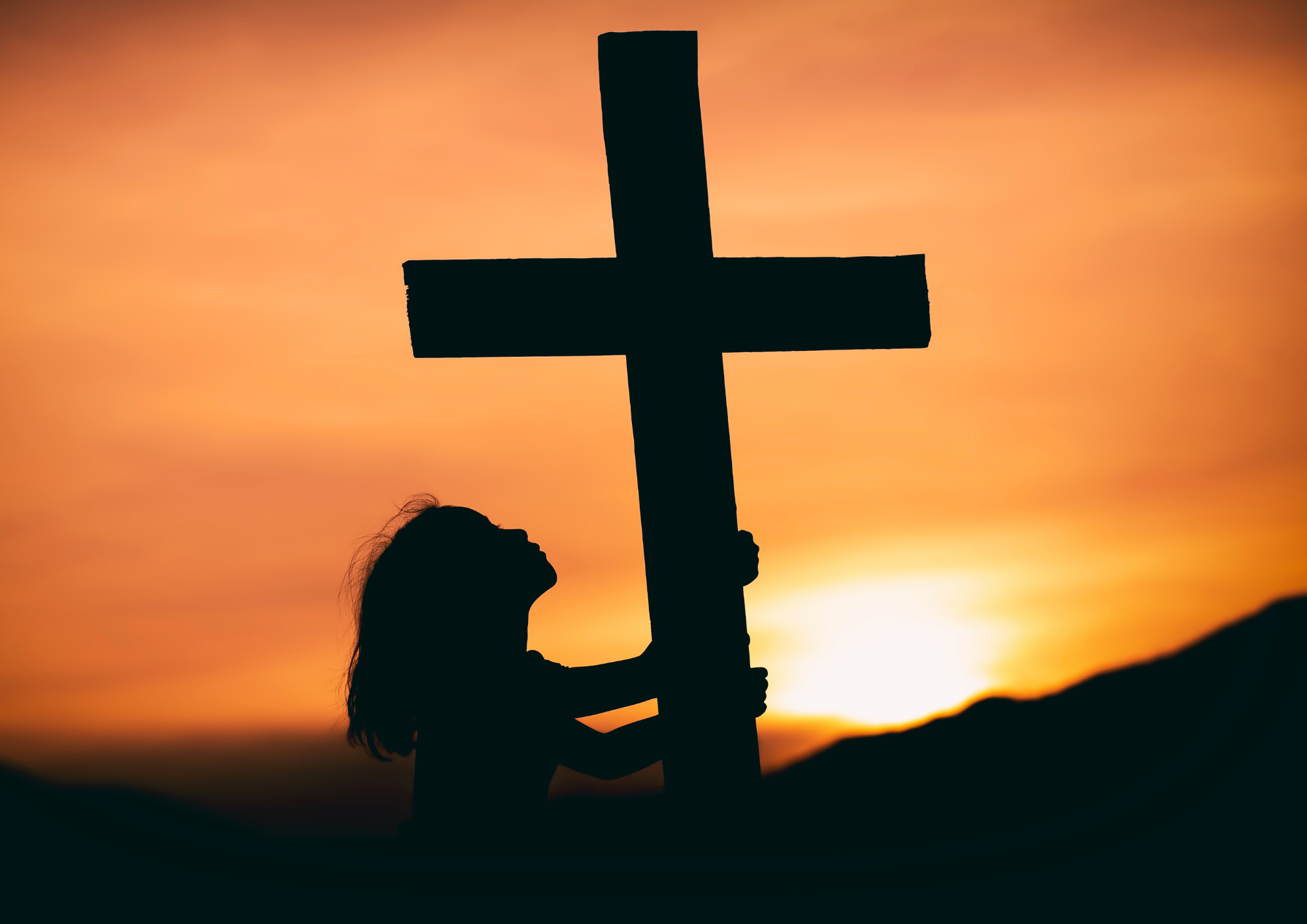 Actualidad Diocesana