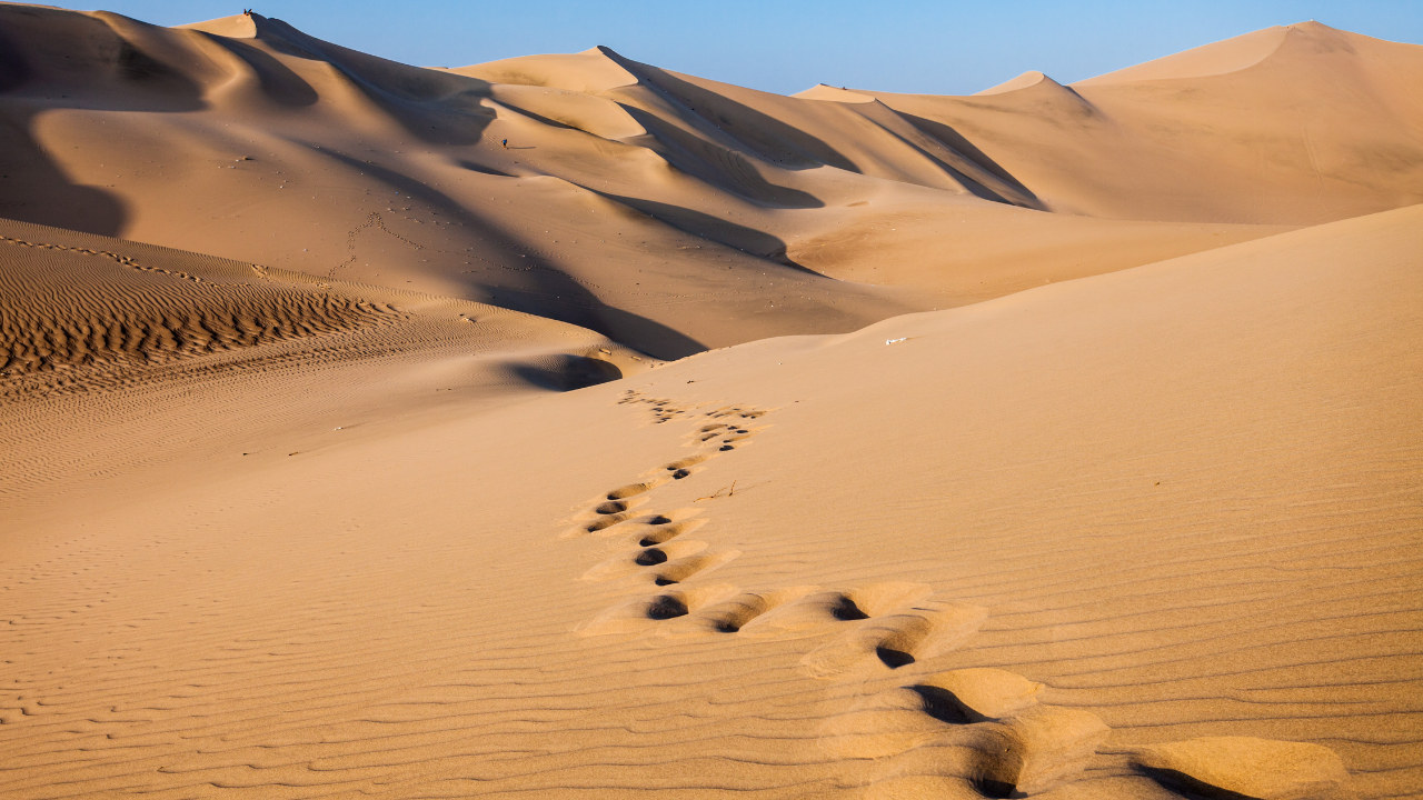 Actualidad Diocesana