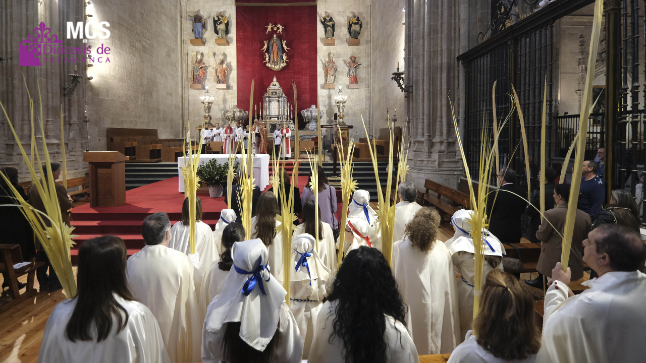 Actualidad Diocesana