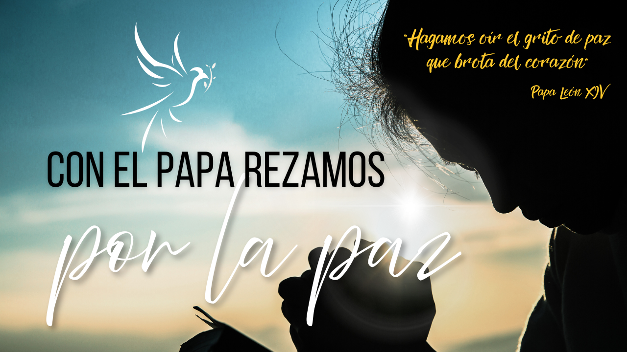 Actualidad Diocesana