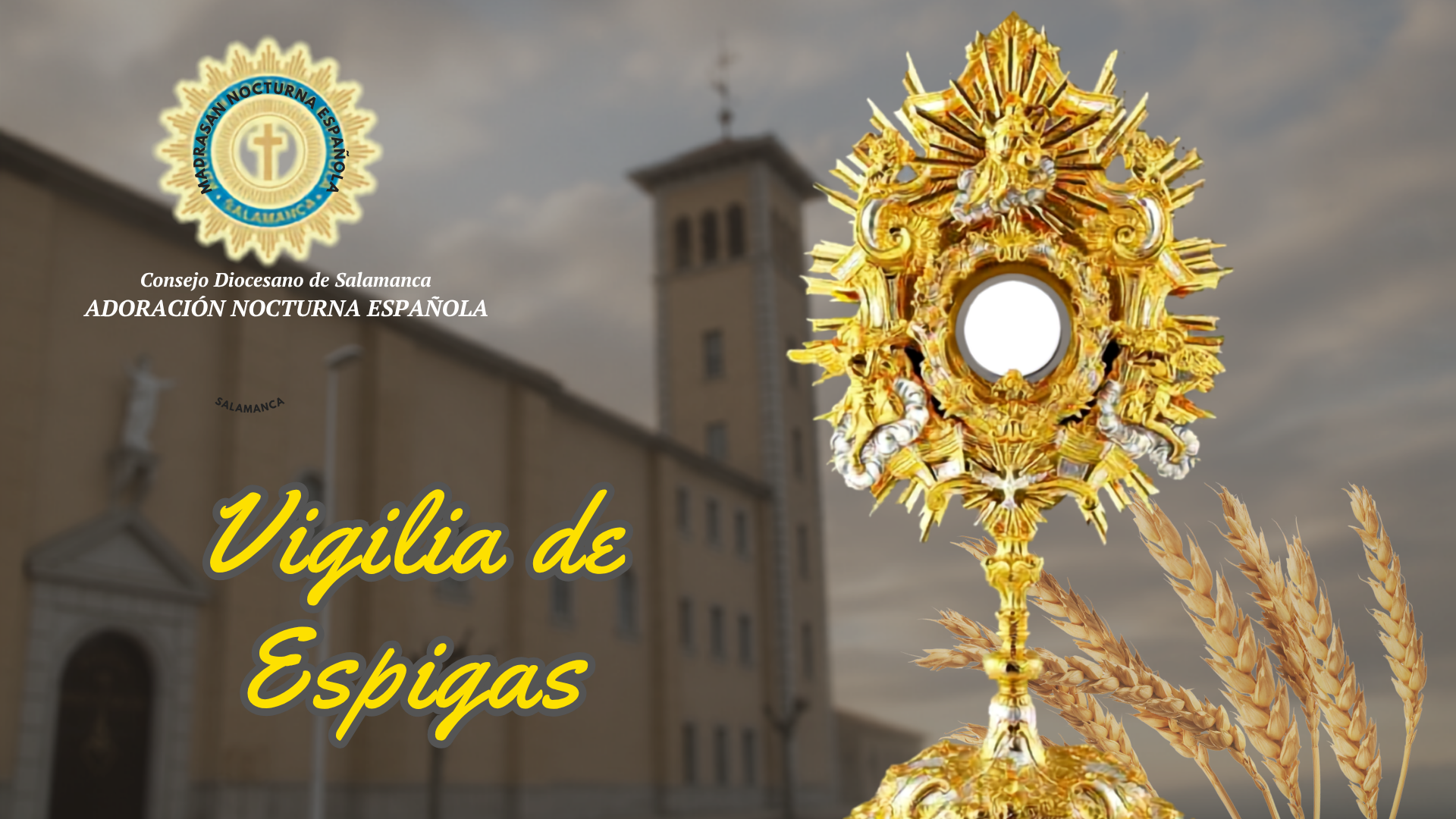 Actualidad Diocesana